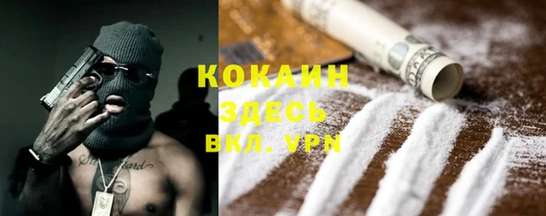 амф Вяземский