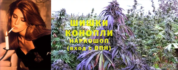 амф Вяземский