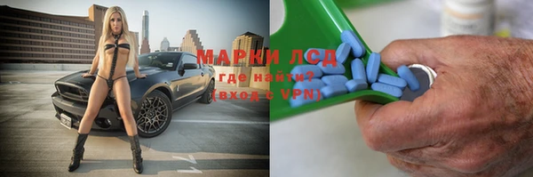 ПСИЛОЦИБИНОВЫЕ ГРИБЫ Новодвинск
