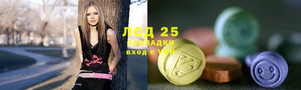 амф Вяземский