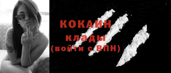 амф Вяземский