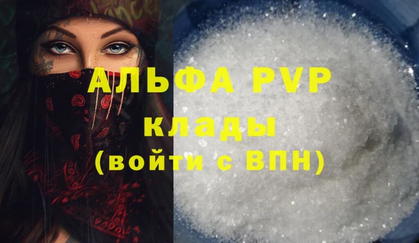 амф Вяземский
